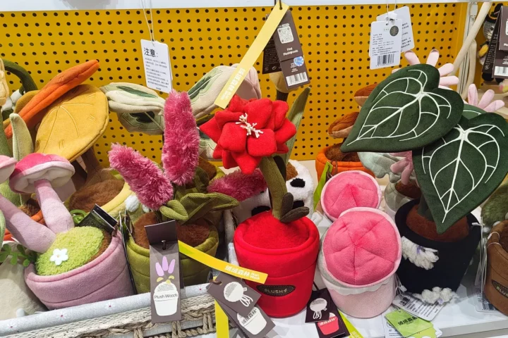 植物玩具